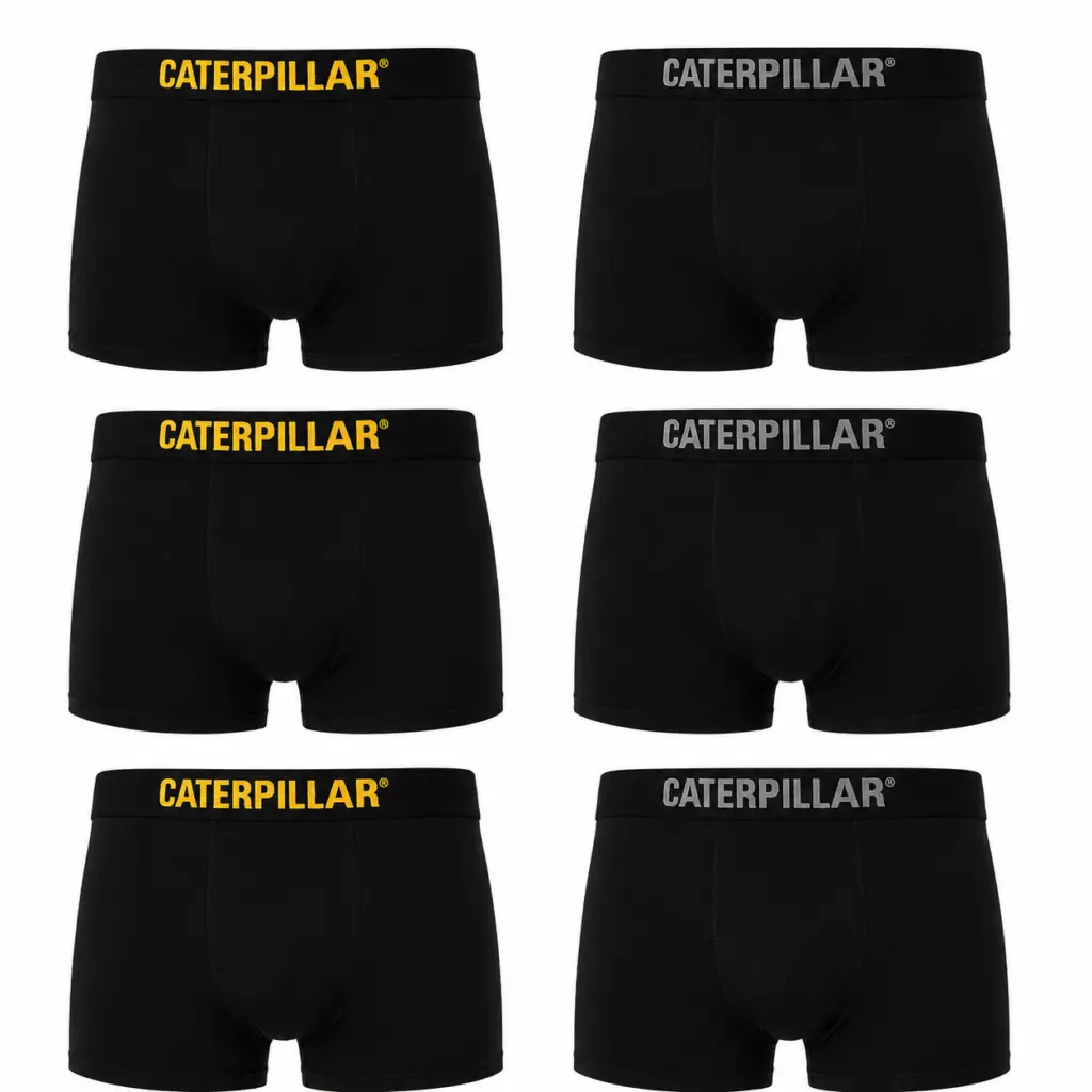 cat boxer recht